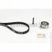   Contitech CT874K1