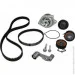   Contitech CT957WP1