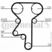   Contitech CT975K3
