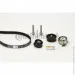   Contitech CT975K3