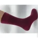 Cool Socks   16862 .29-31 