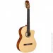   Cordoba C1M-CE