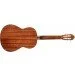   Cort AC100 SG