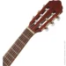   Cort AC50 Open Pore