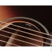   CORT EARTH 100 SSF (SUNBURST)
