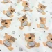 Cosas   100120 TEDDY BEAR (4822052436073)