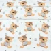 Cosas   100120 TEDDY BEAR (4822052436073)