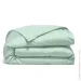 Cosas    110140 JADE (4822052394052)