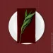 Cosas  120150 WINE (4822052150634)