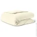 Cosas    160220 BISCUIT (4822052351901)