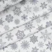 Cosas     160220 SNOWFLAKES CS1 (4822052362570)
