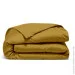 Cosas    175210 CURCUMA (4822052270264)