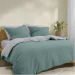 Cosas   180220 AGAVE CS1 (4822052232507)