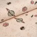 Cosas ϳ  180220 SPACE CS1 (4822052303214)