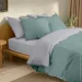 Cosas ϳ  200220 AGAVE CS1 (4822052232675)