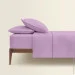 Cosas ϳ  200220 CAMELLIA (4822052304556)