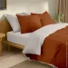 Cosas   200220 CINNAMON CS2 (4822052232729)