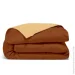 Cosas ϳ  200220 HONEY CS2 (4822052329757)