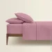 Cosas ϳ  200220 LILAC (4822052254509)