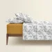 Cosas   200220 PALMS (4822052343005)