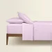 Cosas ϳ   220240 CAMELLIA (4822052277553)