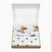  Cosas   2  STAR CS1 (4822054039777)