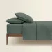 Cosas    4060 ASPARAGUS (4822052304389)