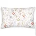 Cosas    4060 DOTS PASTEL GARDEN (4822052414552)
