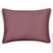 Cosas     5070 BLUEBERRY (4822052256541)