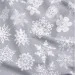  Cosas     5070 SNOWFLAKE CS2 (4822052242889)