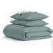   Cosas     AGAVE CS5 (4822052133804)