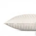    Cosas ALMOND CS1 (4822052177686)
