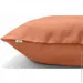 Cosas   AMBER (4822052030523)