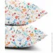    Cosas       AQUARELLE FLOWERS CS4 (4822052260784)