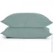    Cosas ASHMINT (4822052100950)
