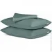 Cosas     ASHMINT CS1 (4822052110393)