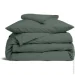    Cosas      ASPARAGUS CS1 (4822052422564)