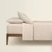    Cosas BISCOTTI CS1 (4822052179239)