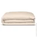    Cosas BISCOTTI CS1 (4822052382240)