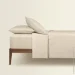    Cosas BISCUIT CS2 (4822052386637)