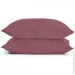    Cosas BLUEBERRY CS1 (4822052068403)