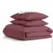    Cosas BLUEBERRY CS4 (4822052130995)