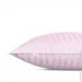    Cosas CAMELLIA (4822052176818)