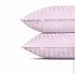    Cosas CAMELLIA (4822052178010)