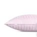    Cosas CAMELLIA CS1 (4822052382226)