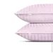    Cosas CAMELLIA CS2 (4822052386453)