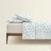    Cosas CRYSTAL LINES CS2 (4822052412459)
