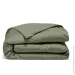    Cosas OLIVE CS1 (4822052384121)