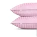    Cosas BUBBLE CS2 (4822052384381)