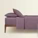    Cosas GRAPE CS2 (4822052384732)